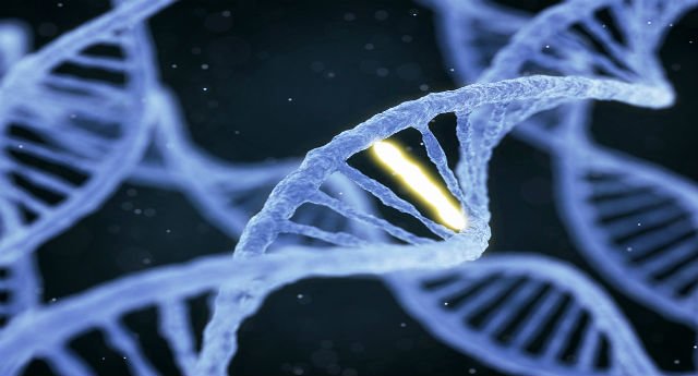 The Genetics of Alcoholism