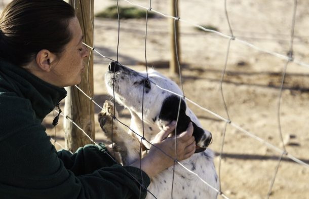 Prison Drug Treatment Program Pairs Inmates with "Hero Pups"