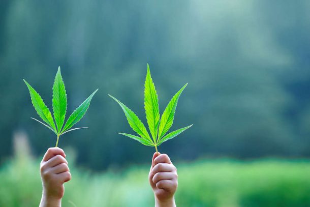 Pot Legalization Moves Forward In New Hampshire Despite Opposition