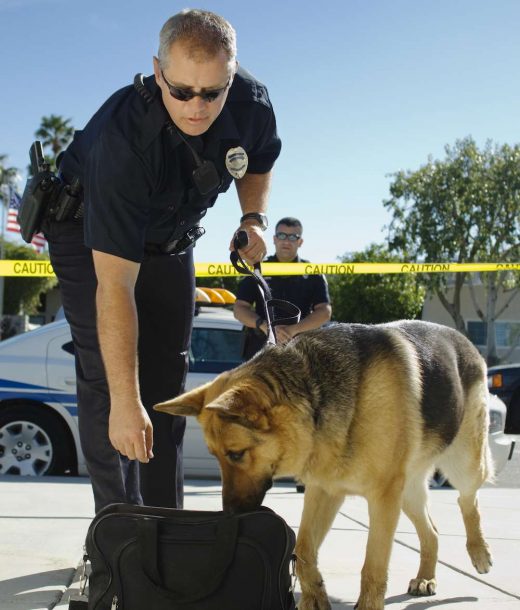 Meth Seizures Skyrocket