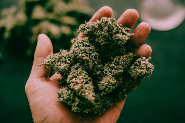 New Jersey Fails To Pass Marijuana Legalization