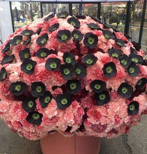 "Hope Stems" Campaign Spotlights How Opioids Affect The Brain Using Flowers