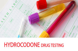 Hydrocodone detection times