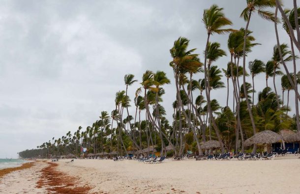 Hurricane Dorian Washes Drugs Ashore, Officials Warn