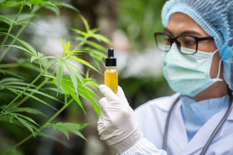 US To Spend $3 Million Researching Chemicals in Marijuana