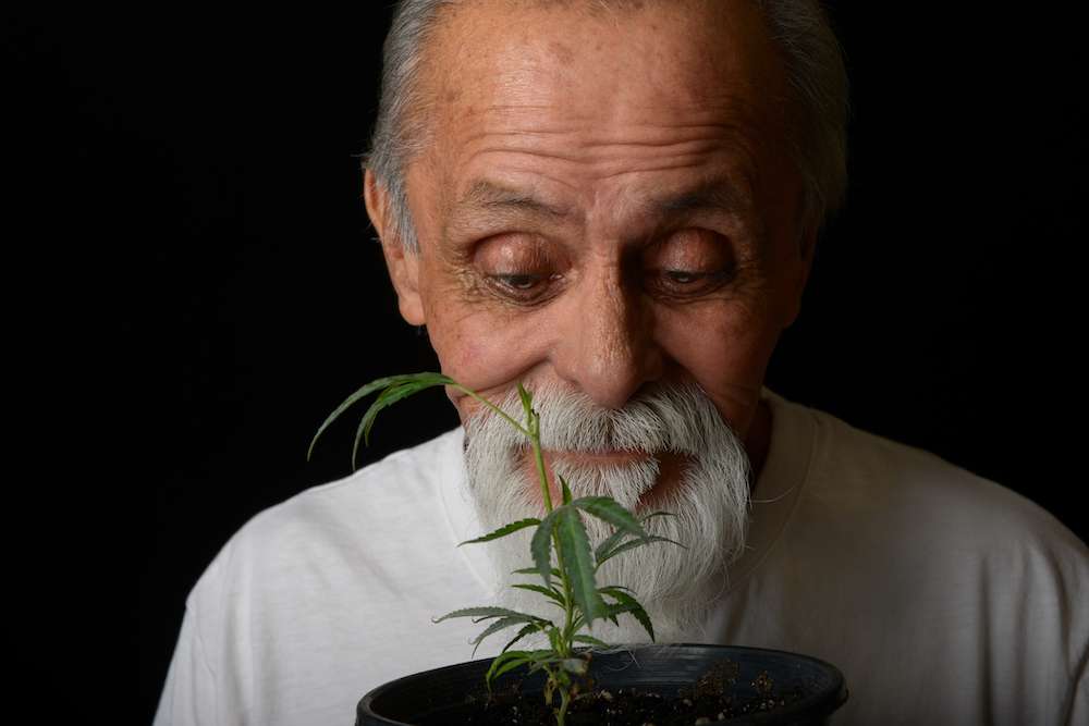 Senior Marijuana Use Increases, But Where Is The Research?