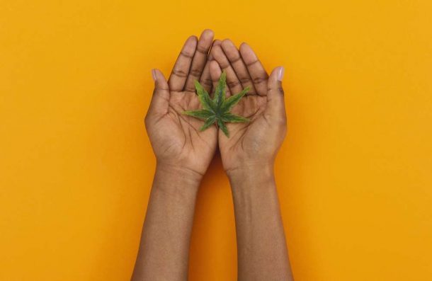 Should Marijuana Be Used To Treat Psych Disorders?